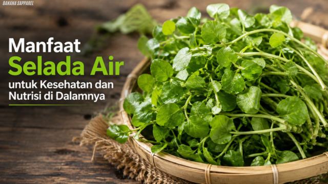 Manfaat Selada Air untuk Kesehatan dan Nutrisi di Dalamnya