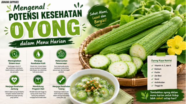 Mengenal Potensi Kesehatan Oyong dalam Menu Harian
