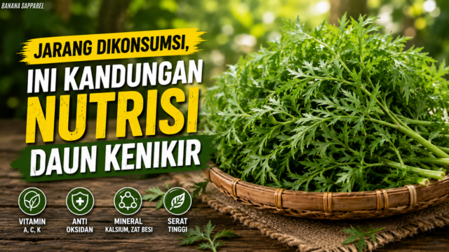 Jarang Dikonsumsi, Ini Kandungan Nutrisi Daun Kenikir