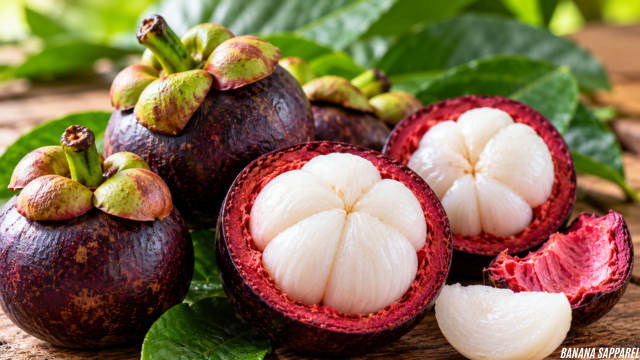 Kandungan Gizi Buah Manggis yang Jarang Diketahui